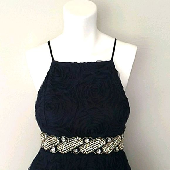 Trixxi Cocktail/Prom Dress. Size 1 - Picture 2 of 14